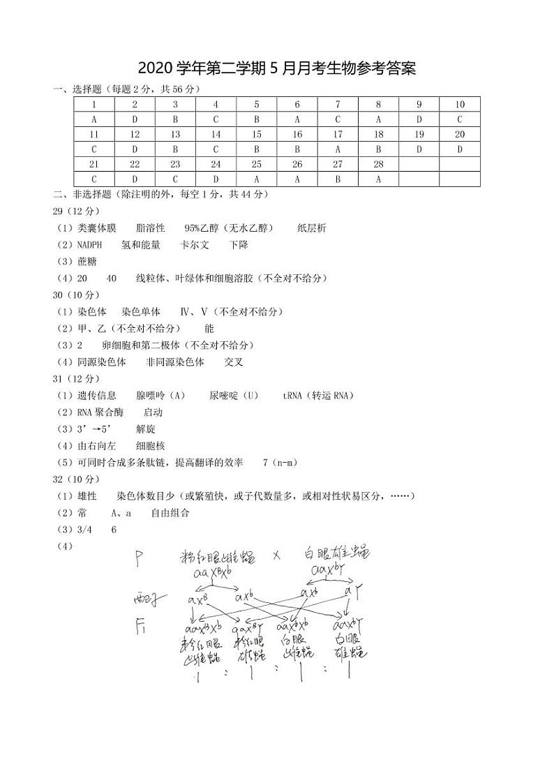 2020学年下5月月考生物答案第1页