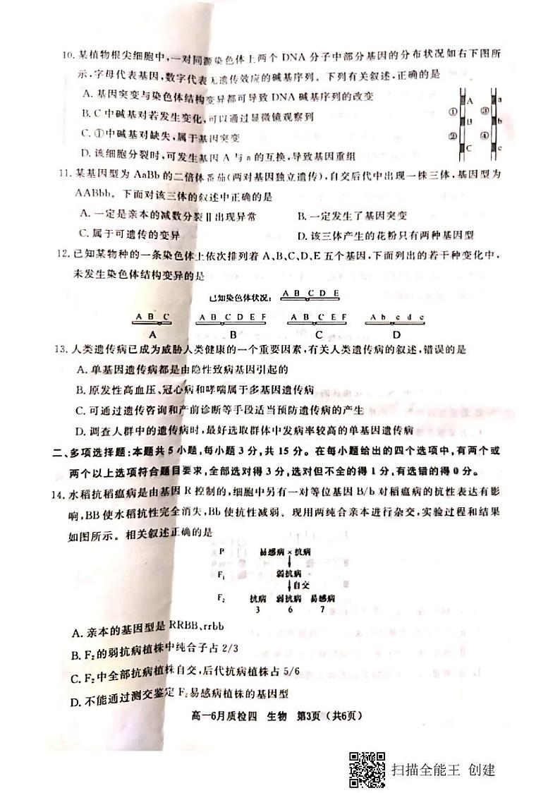 2021河北省曲阳县一中高一下学期第四次检测（6月月考）生物试题扫描版含答案03