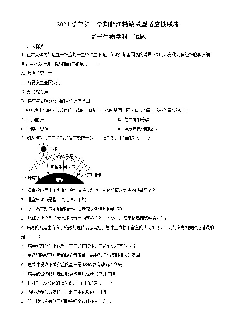 浙江省精诚联盟2021-2022学年高三下学期5月联考生物试题（原卷版）第1页