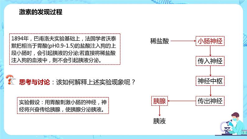 第一节《激素与内分泌系统》课件+教案04