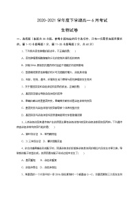 2021齐齐哈尔八中校高一下学期6月月考生物试题含答案