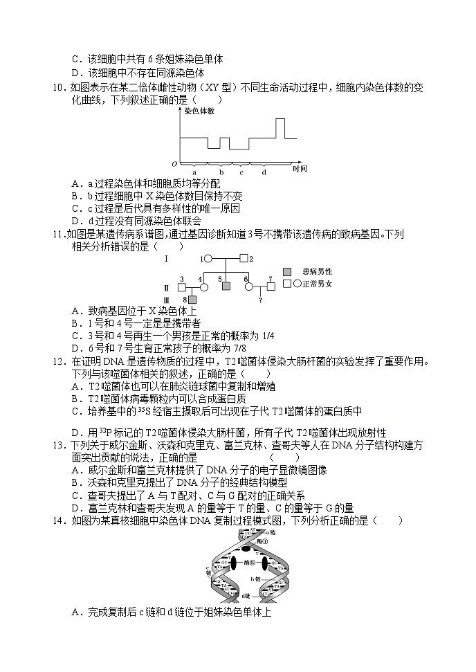 2021沈阳郊联体高一下学期期中考试生物试题含答案第3页