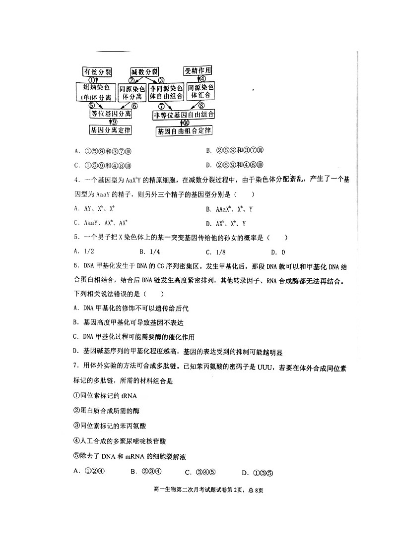 2021辽宁省辽西育明高级中学高一下学期第二次月考生物试题扫描版含答案02