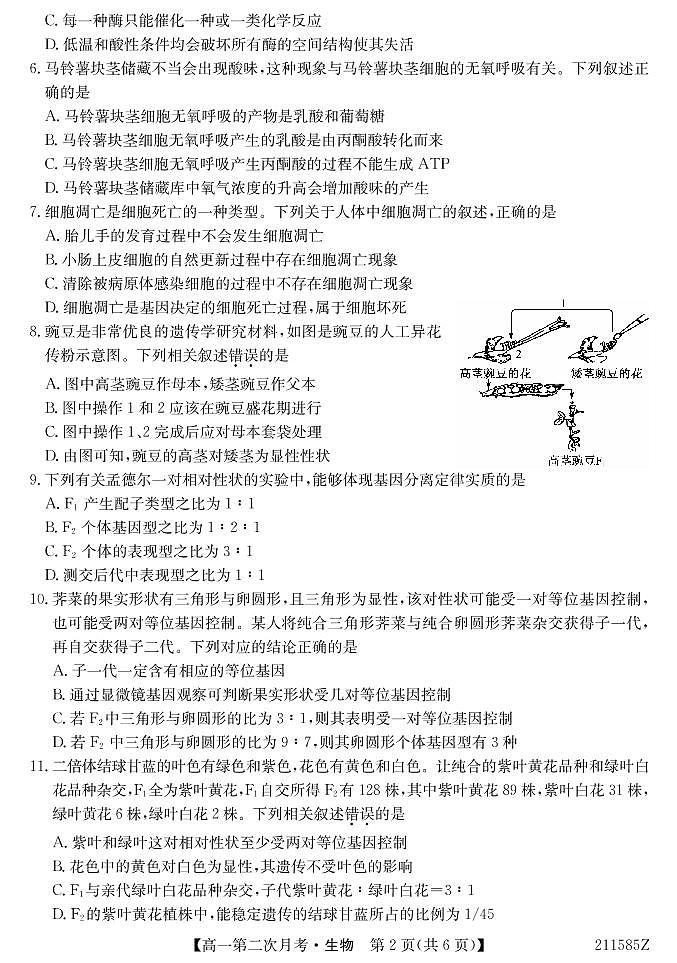 2021崇左高级中学高一下学期第二次月考生物试题PDF版含答案02