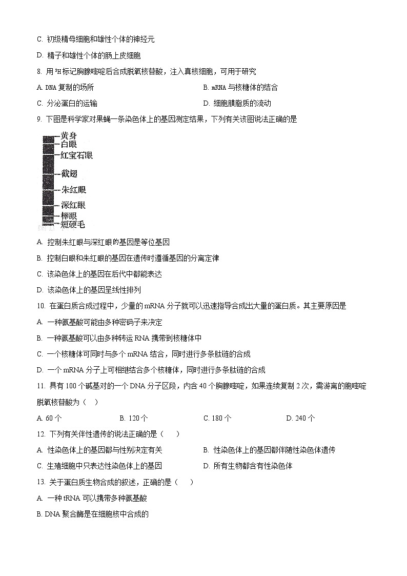 2021天津市耀华中学高一下学期期中形成性检测生物试卷含答案第2页