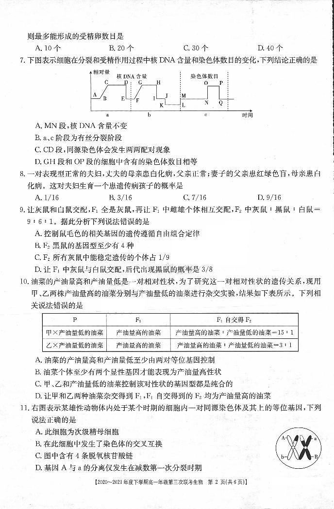 2021河南省高一下学期第三次联考（6月）生物试题扫描版含答案第2页