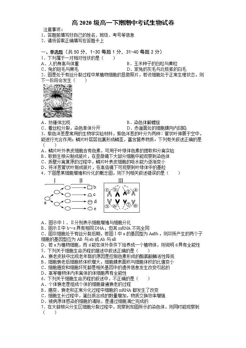 2021南充李渡中学高一下学期期中考试生物试题含答案第1页