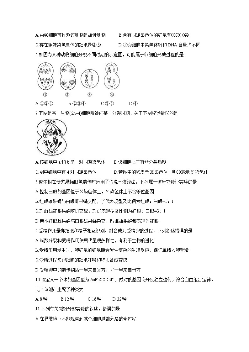2021齐齐哈尔甘南县二中等八校高一下学期期中考试生物含答案02