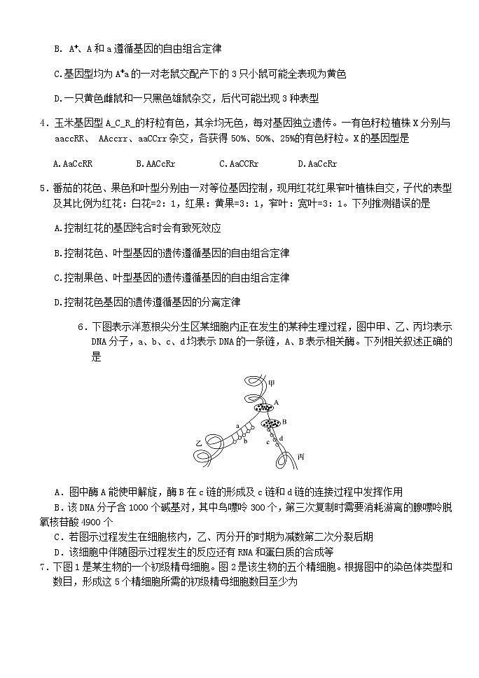 2021湖北省沙市中学高一下学期第三次周练生物试题含答案02