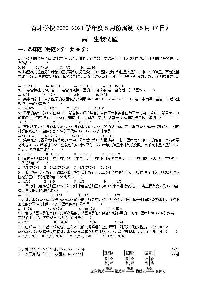 2021安徽省定远县育才学校高一下学期5月周测（5月17日）生物试题含答案01