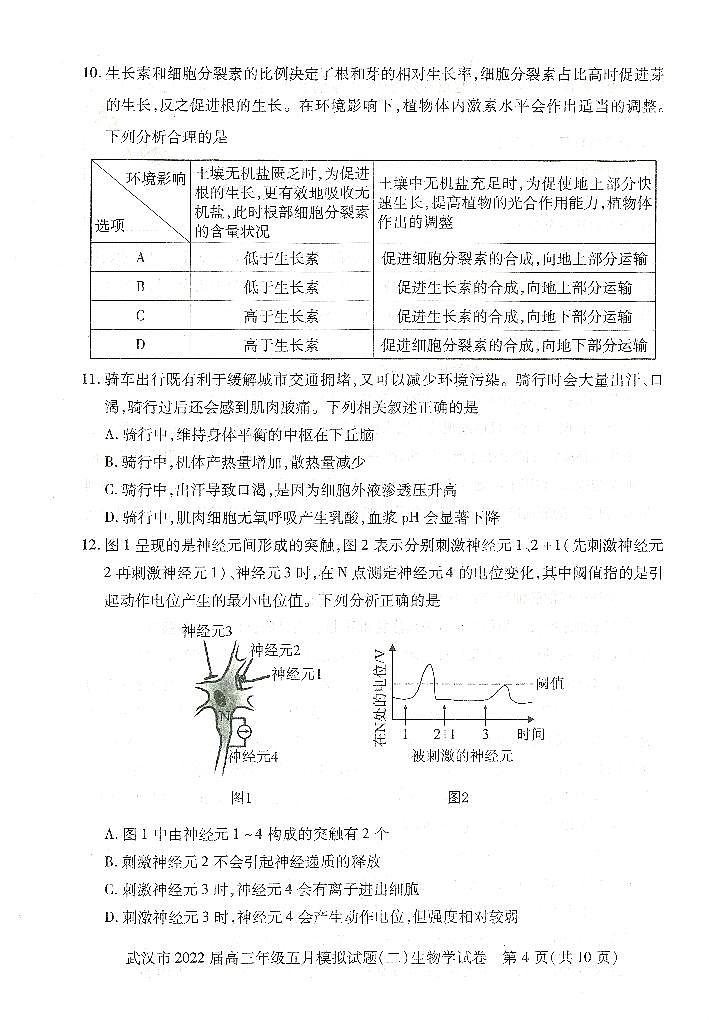 2022武汉高三年级五月模拟试题（二）生物试题（PDF版含答案）03