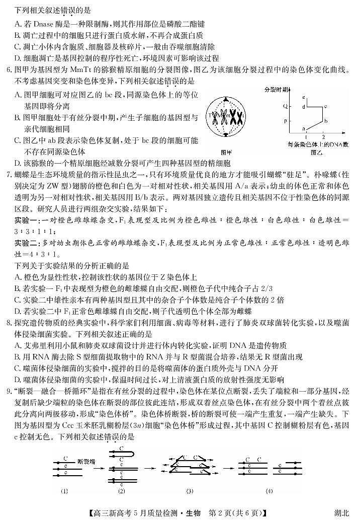 湖北省新高考部分校2021-2022学年高三下学期5月质量检测生物试题第2页