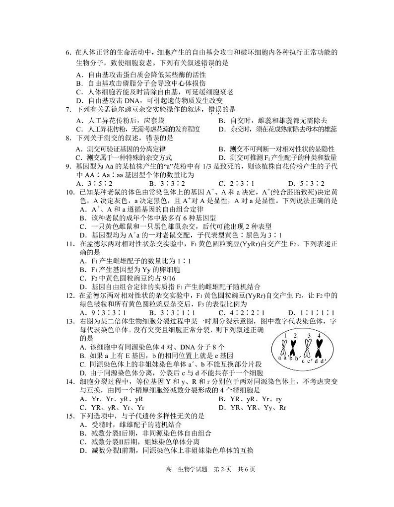 2020-2021学年安徽省马鞍山市高一下学期期末考试生物试题 PDF版02