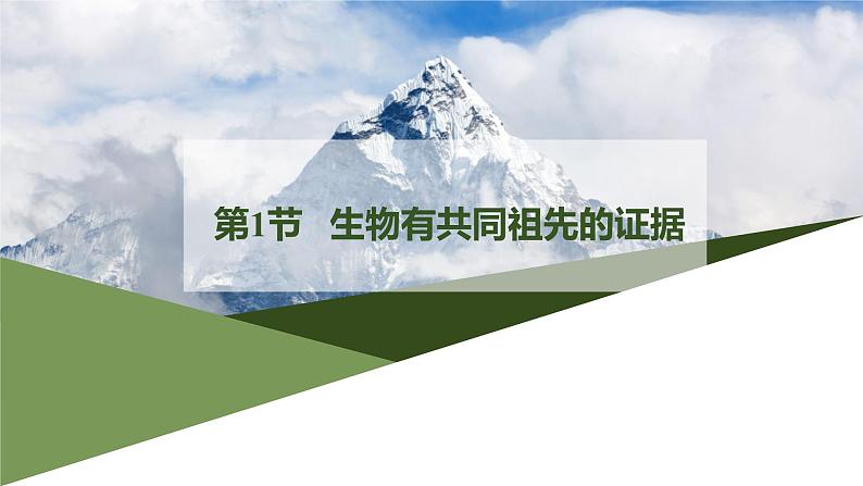 2021-2022学年高一下学期生物人教版必修二 6.1 生物有共同祖先的证据课件（22张PPT）第1页