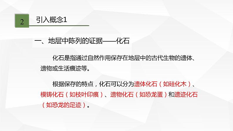 2021-2022学年高一下学期生物人教版必修二 6.1 生物有共同祖先的证据课件（22张PPT）第4页