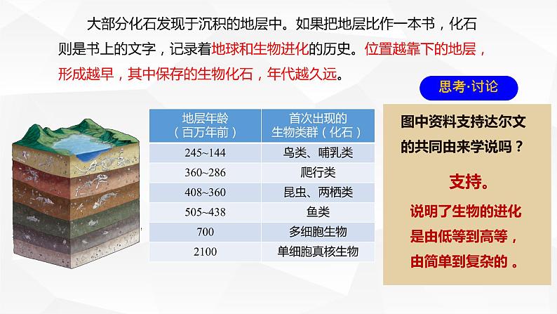 2021-2022学年高一下学期生物人教版必修二 6.1 生物有共同祖先的证据课件（22张PPT）第6页