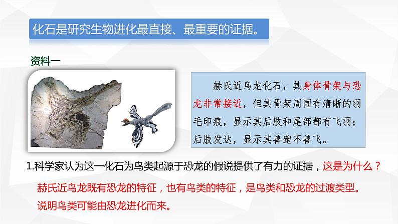 2021-2022学年高一下学期生物人教版必修二 6.1 生物有共同祖先的证据课件（22张PPT）第7页