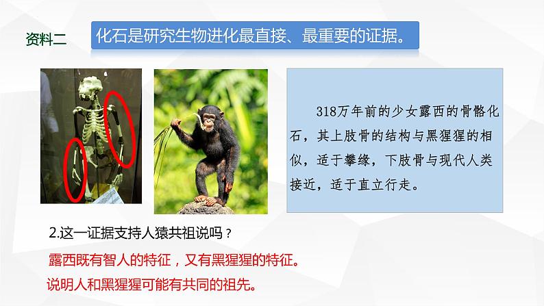 2021-2022学年高一下学期生物人教版必修二 6.1 生物有共同祖先的证据课件（22张PPT）第8页