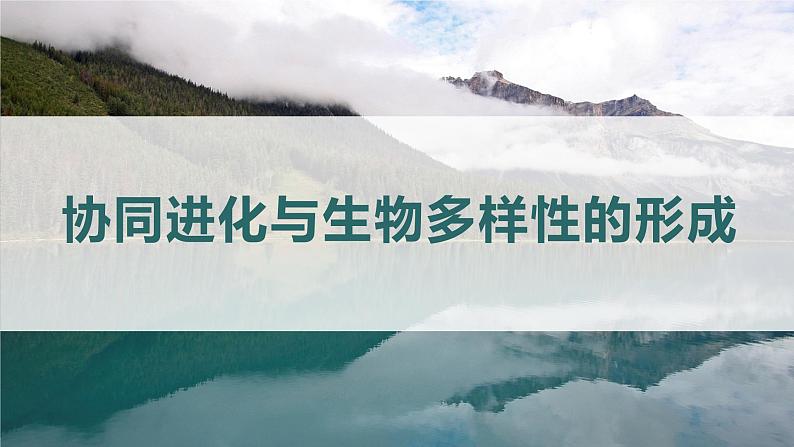 2020-2021学年高一下学期生物人教版必修二  6.4 协同进化与生物多样性的形成课件（36张PPT）第1页