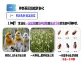 2021-2022学年高一下学期生物人教版（2019）必修二 6.3 种群基因组成的变化和物种的形成课件（51张PPT）