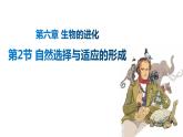 2021-2022学年高一下学期生物人教版必修二 6.2 自然选择与适应的形成课件（31张PPT）