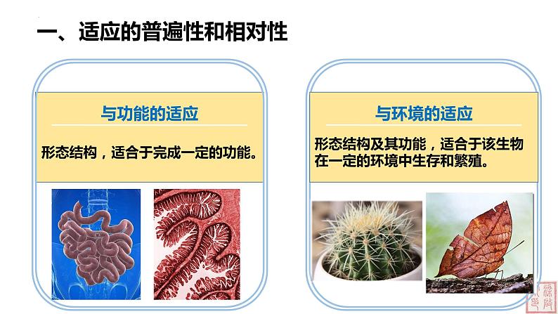 2021-2022学年高一下学期生物人教版必修二 6.2 自然选择与适应的形成课件（31张PPT）第5页