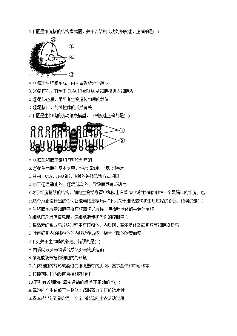 （1）细胞的分子组成与结构——2021-2022学年人教版（2019）生物高二下学期期末专项复习 练习02