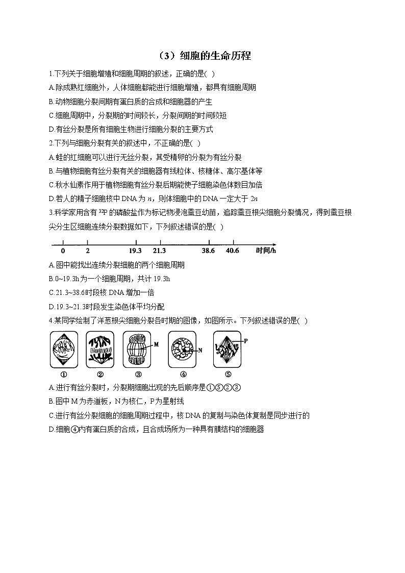 （3）细胞的生命历程——2021-2022学年人教版（2019）生物高二下学期期末专项复习第1页