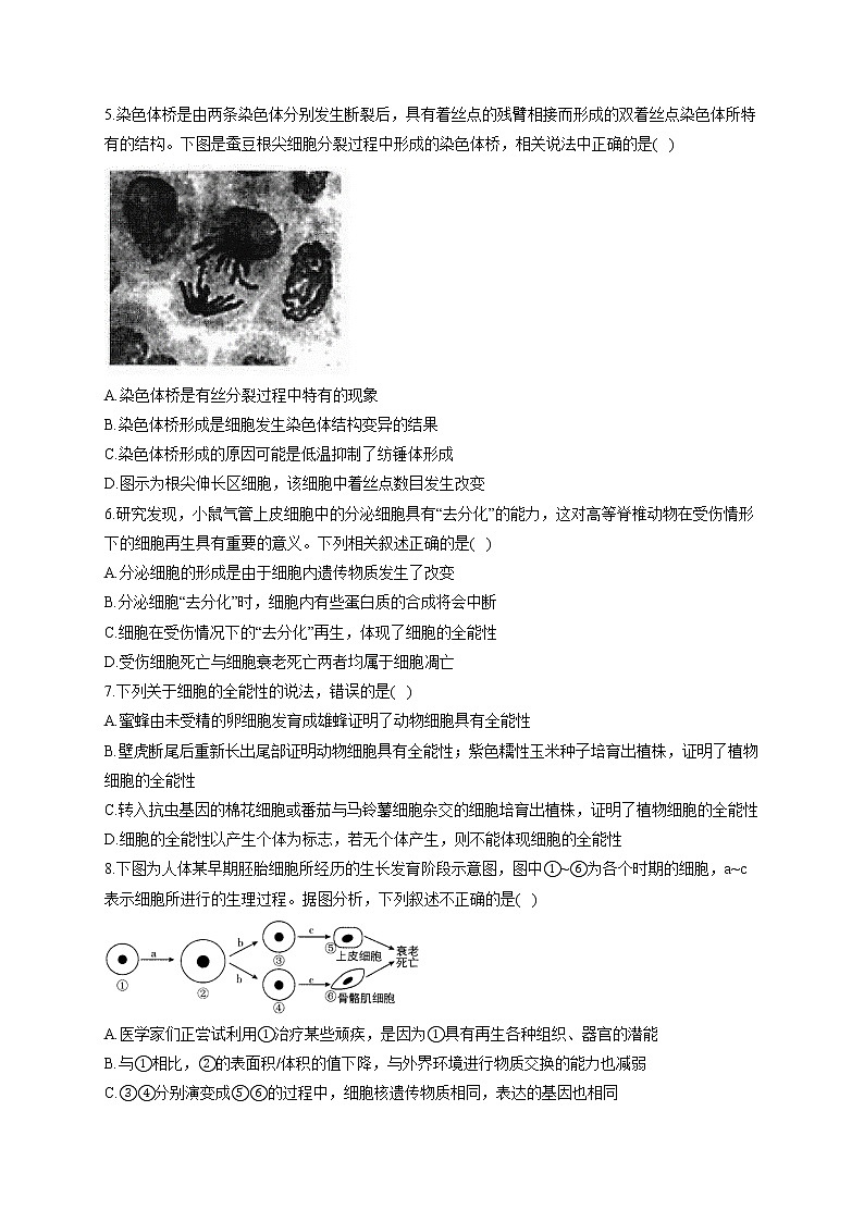 （3）细胞的生命历程——2021-2022学年人教版（2019）生物高二下学期期末专项复习第2页