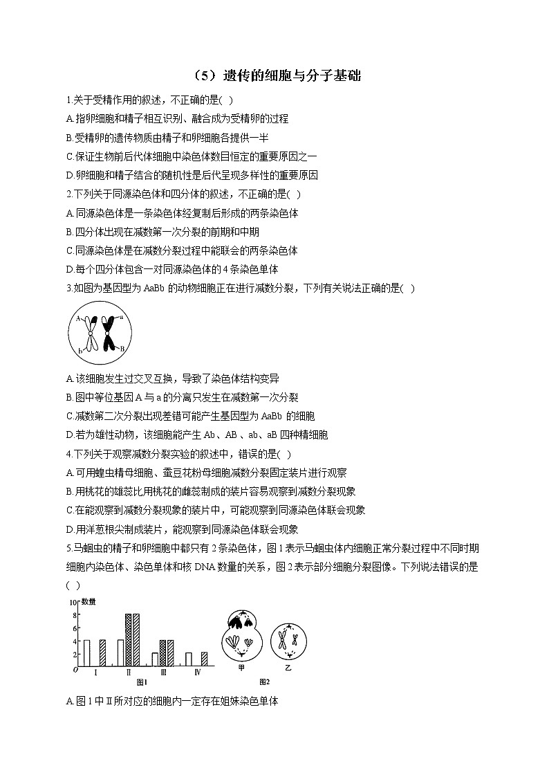 （5）遗传的细胞与分子基础——2021-2022学年人教版（2019）生物高二下学期期末专项复习第1页