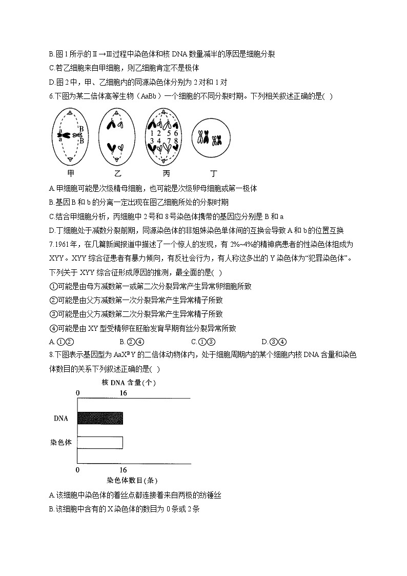 （5）遗传的细胞与分子基础——2021-2022学年人教版（2019）生物高二下学期期末专项复习第2页