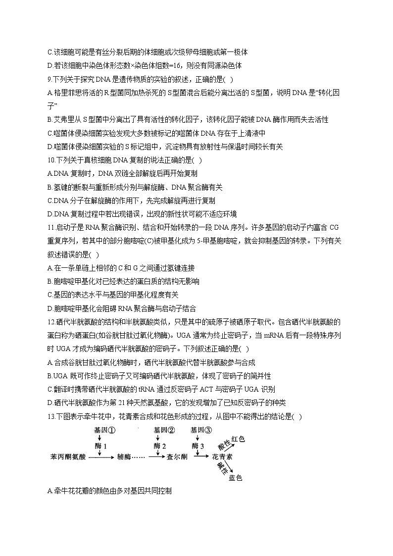 （5）遗传的细胞与分子基础——2021-2022学年人教版（2019）生物高二下学期期末专项复习第3页