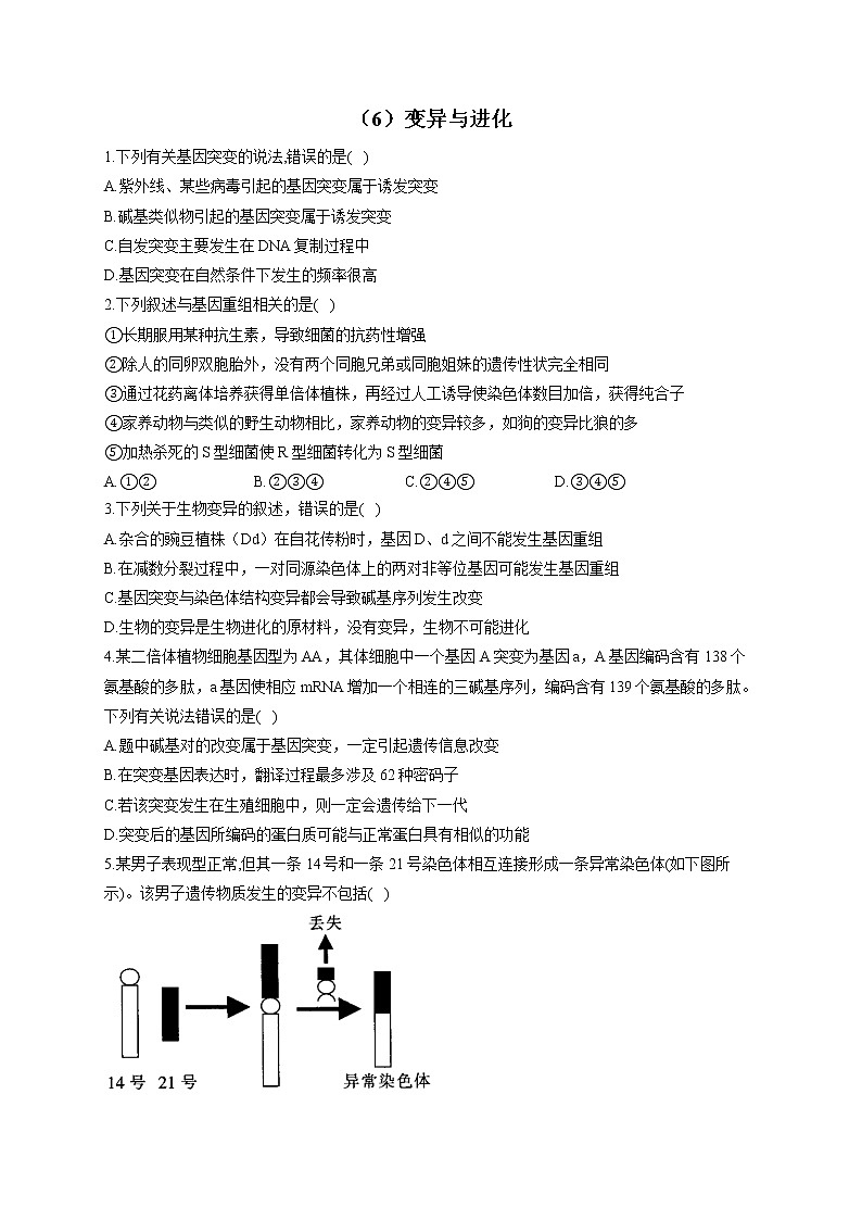 （6）变异与进化——2021-2022学年人教版（2019）生物高二下学期期末专项复习 练习01