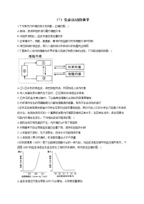 （7）生命活动的调节——2021-2022学年人教版（2019）生物高二下学期期末专项复习