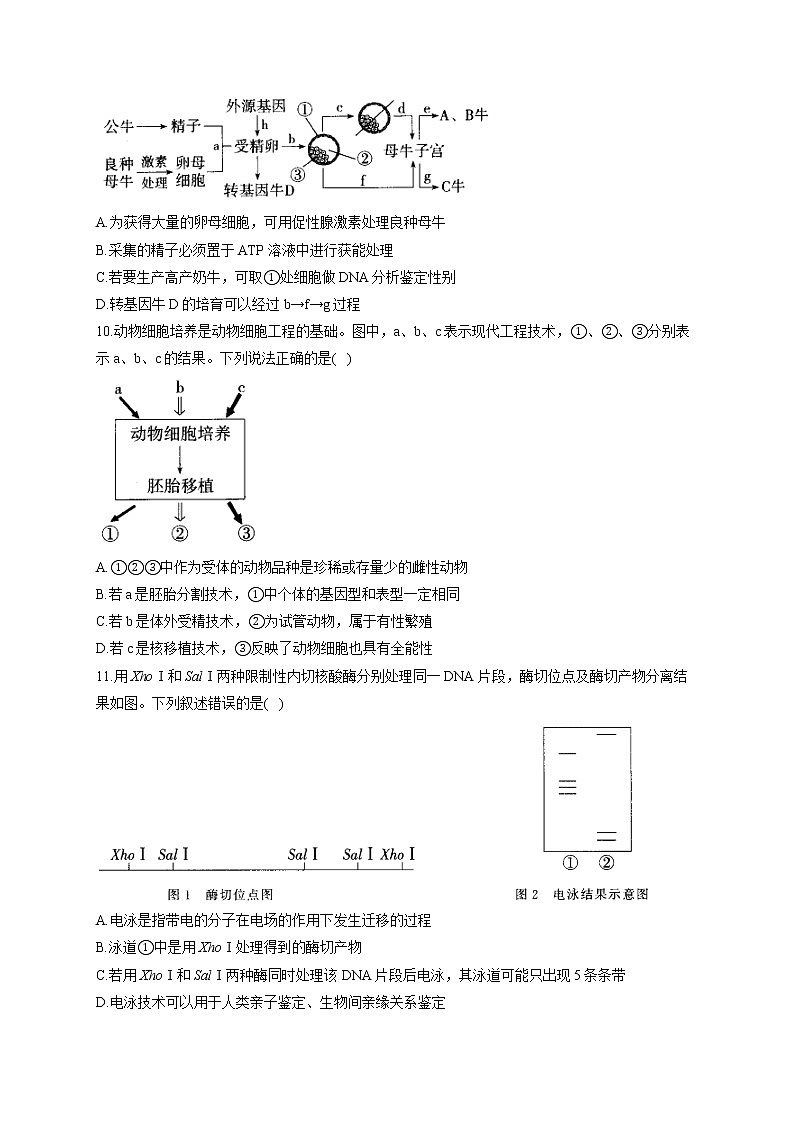 （9）生物技术与工程——2021-2022学年人教版（2019）生物高二下学期期末专项复习 练习03