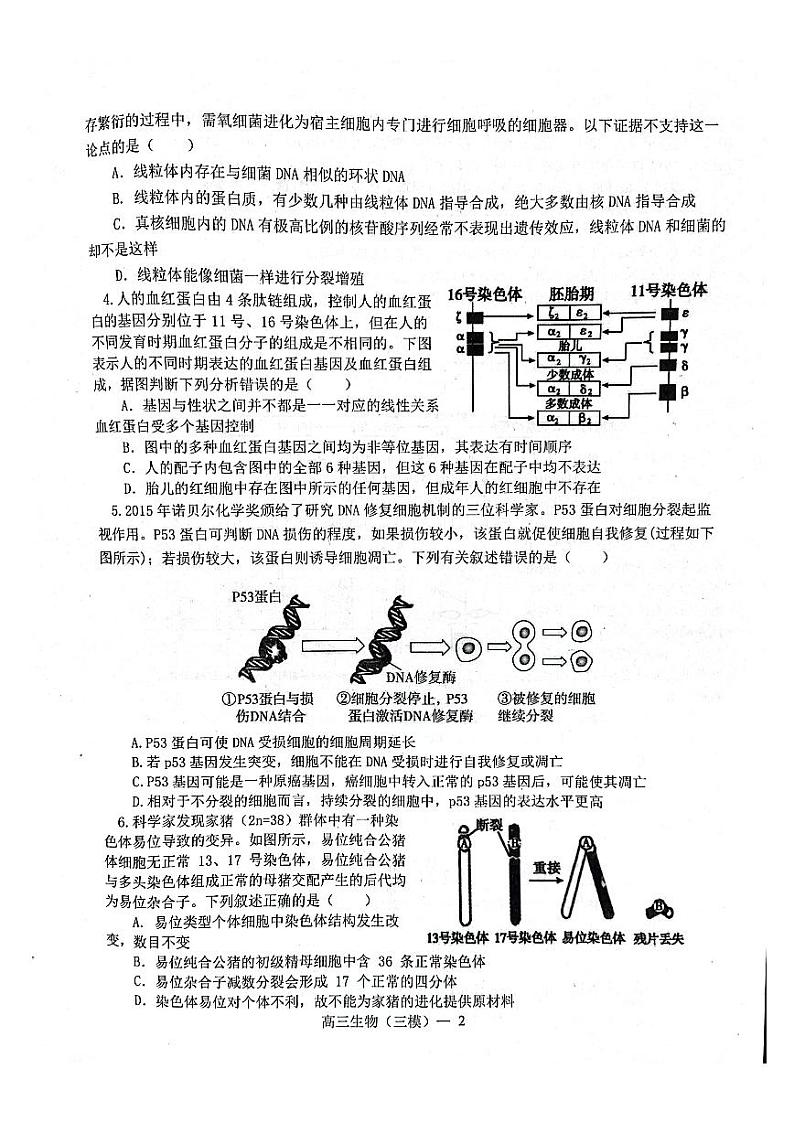 2022年辽宁协作体高三第三次模拟考试生物试卷含答案（三模）第2页