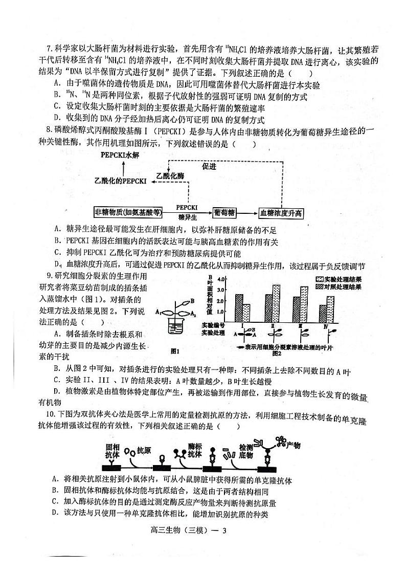 2022年辽宁协作体高三第三次模拟考试生物试卷含答案（三模）第3页