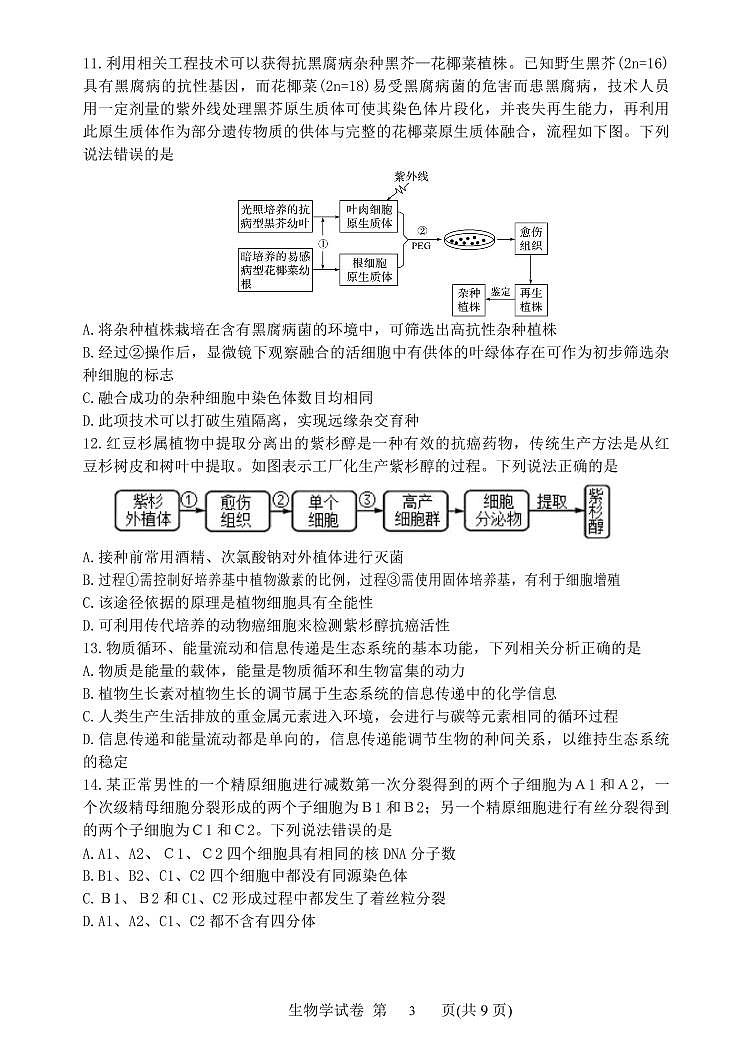 2022届辽宁省丹东市高三总复习质量测试（二）生物试题及答案03