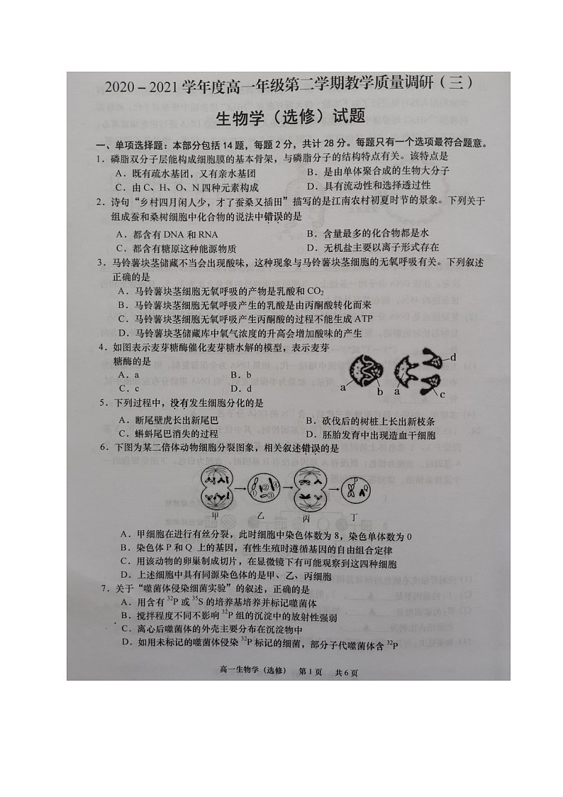 2021江苏省如皋市高一下学期第三次调研考试生物（选）试题图片版含答案第1页