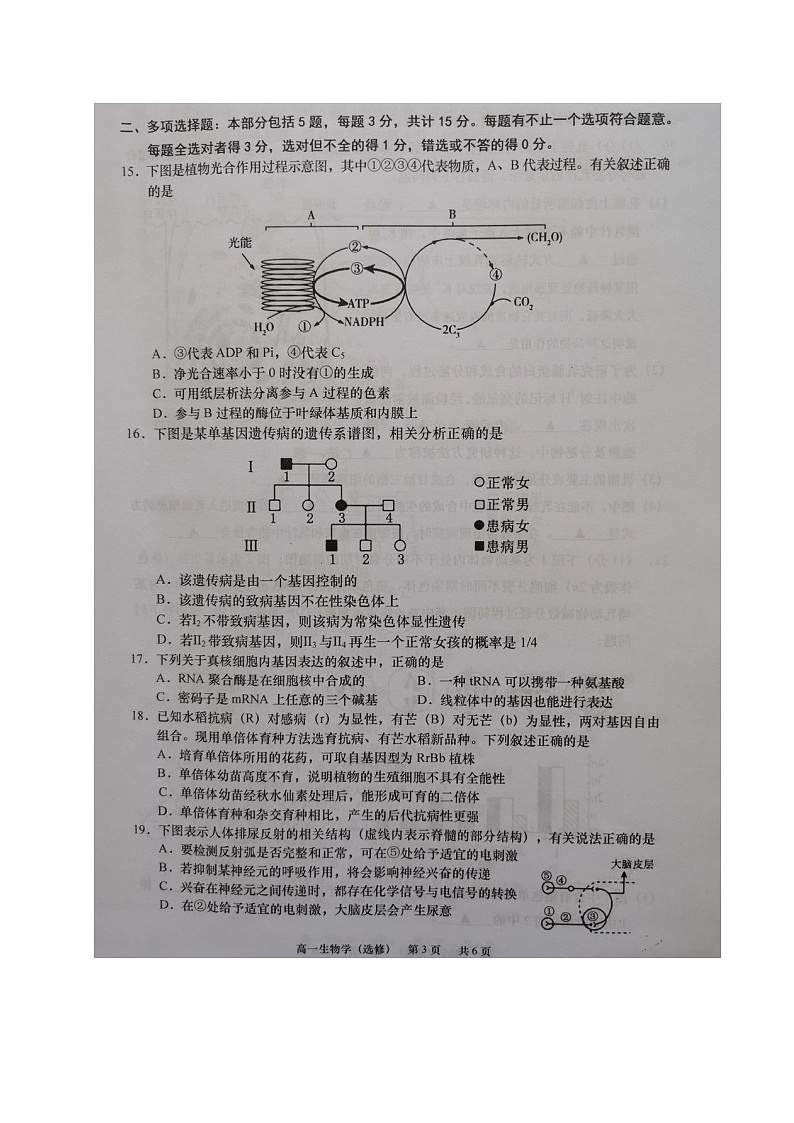 2021江苏省如皋市高一下学期第三次调研考试生物（选）试题图片版含答案第3页