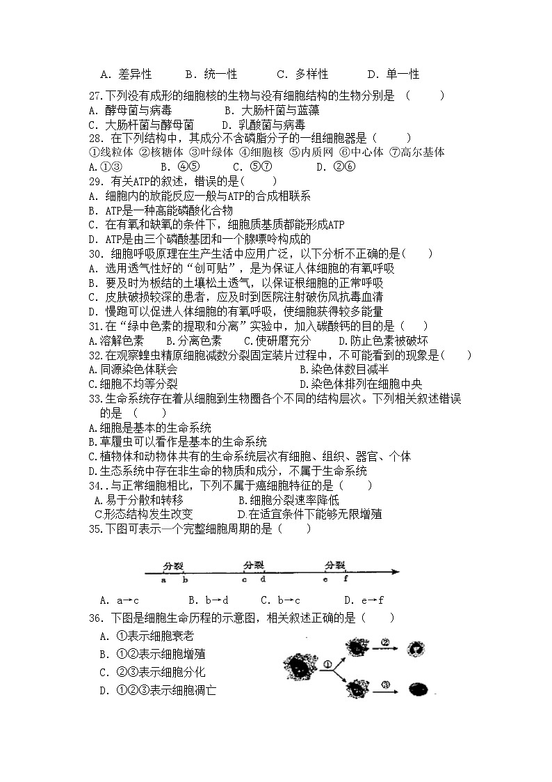 2021莆田锦江中学高一下学期期中考试生物试题含答案03