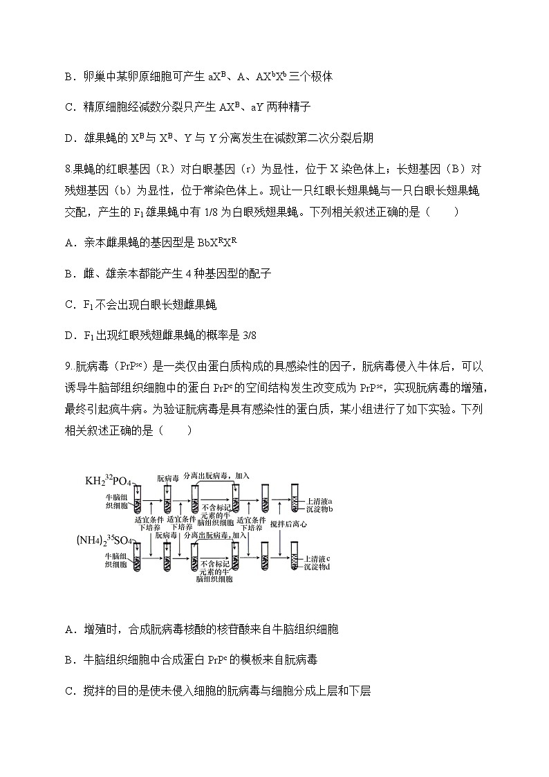 2021河北省易县高中高一下学期5月月考生物试题含答案第3页