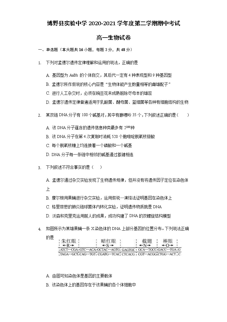 2021保定博野县实验中学高一下学期期中考试生物试卷含答案01