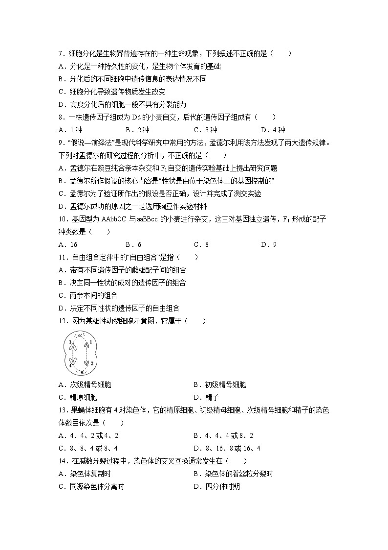 2021长春第二十九中学高一下学期期中考试生物（文）试卷含答案02