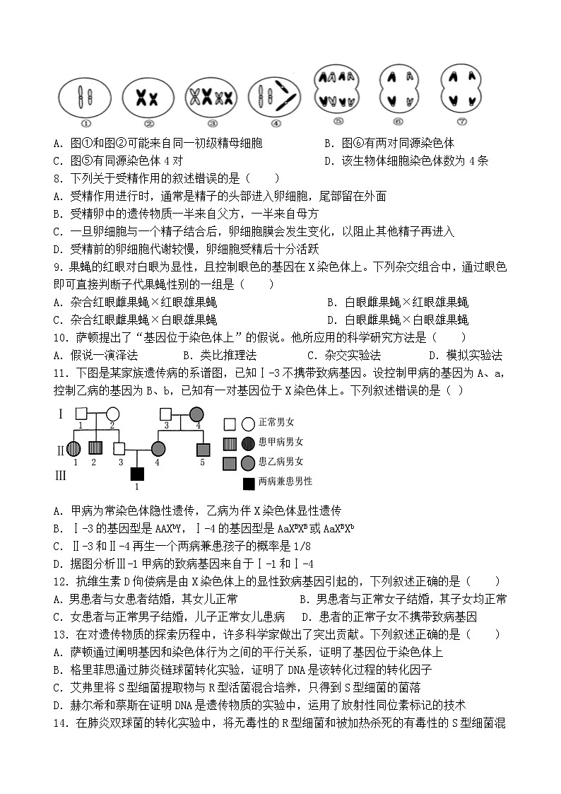 吉林省长春市北师大附属学校2020-2021学年高一下学期期中生物试题第2页