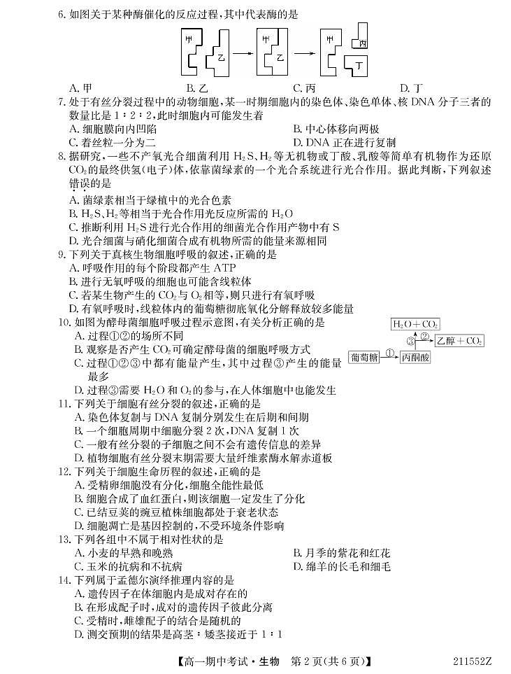 2021云南省会泽县茚旺高级中学高一下学期期中考试生物试题PDF版含答案02