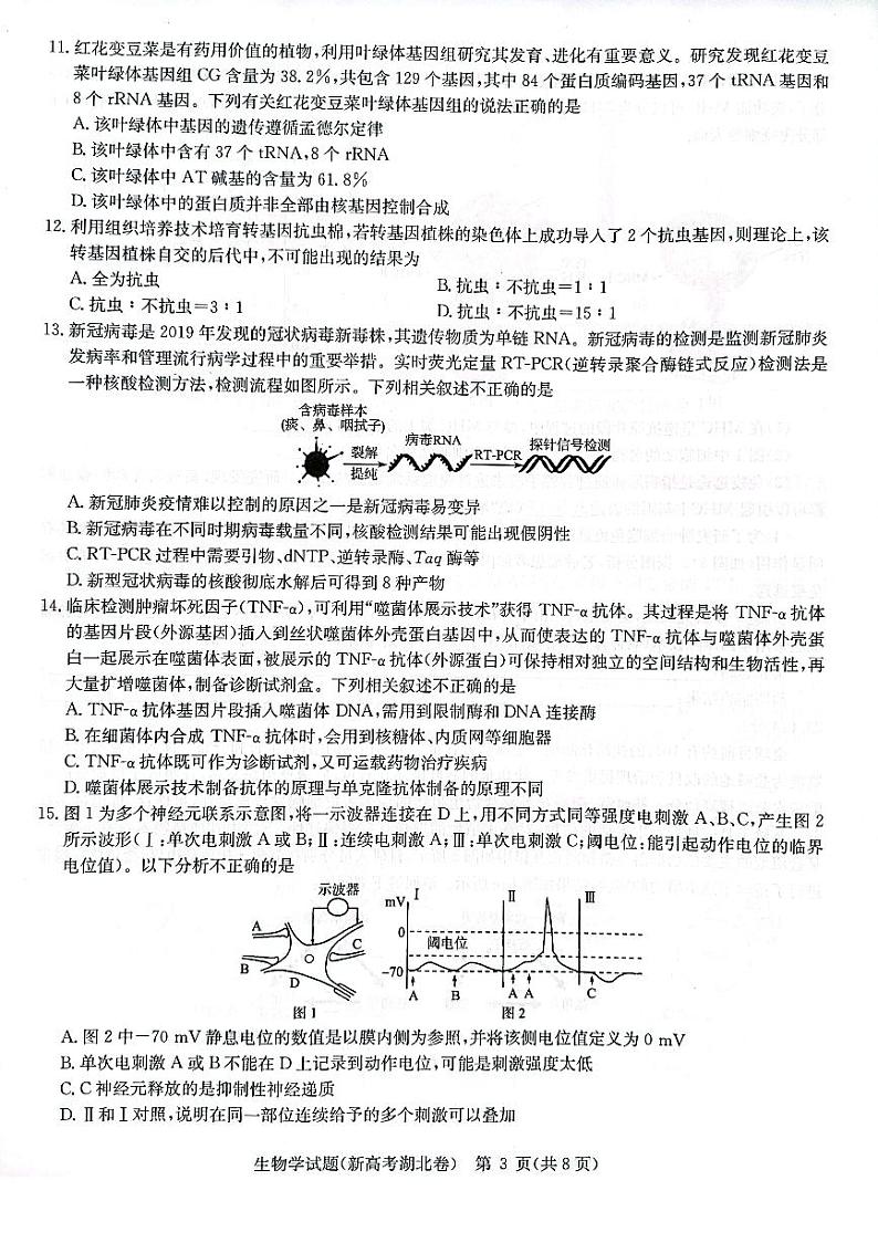 湖北省华大新高考联盟2022届名校高三押题卷生物试题（pdf版 含详解）03
