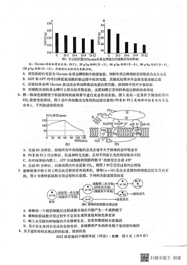 河北省石家庄市部分学校2022届高三下学期5月模拟考试生物PDF版含答案02