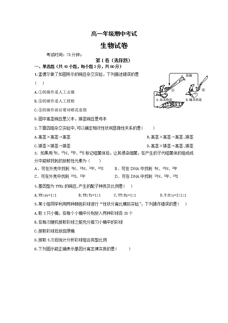江苏省无锡市2021-2022学年高一下学期期中生物试题（含答案）01