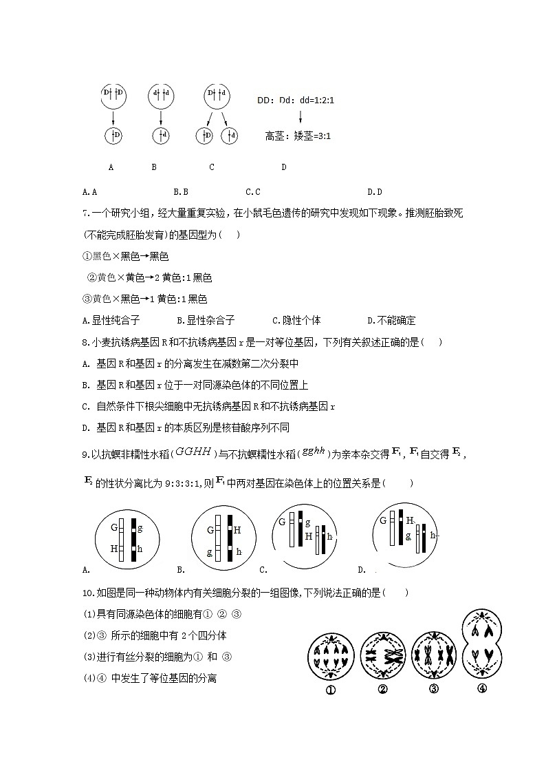 江苏省无锡市2021-2022学年高一下学期期中生物试题（含答案）02